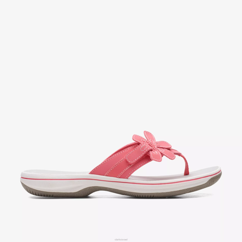 V268161 אלמוגים בהירים Clarks צמחיית ברינקלי