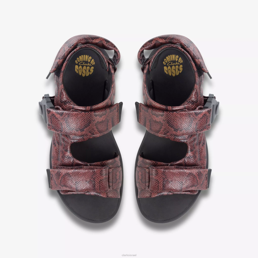 V268178 נחש חום Clarks סנדל לנשים מרטין רוז 1