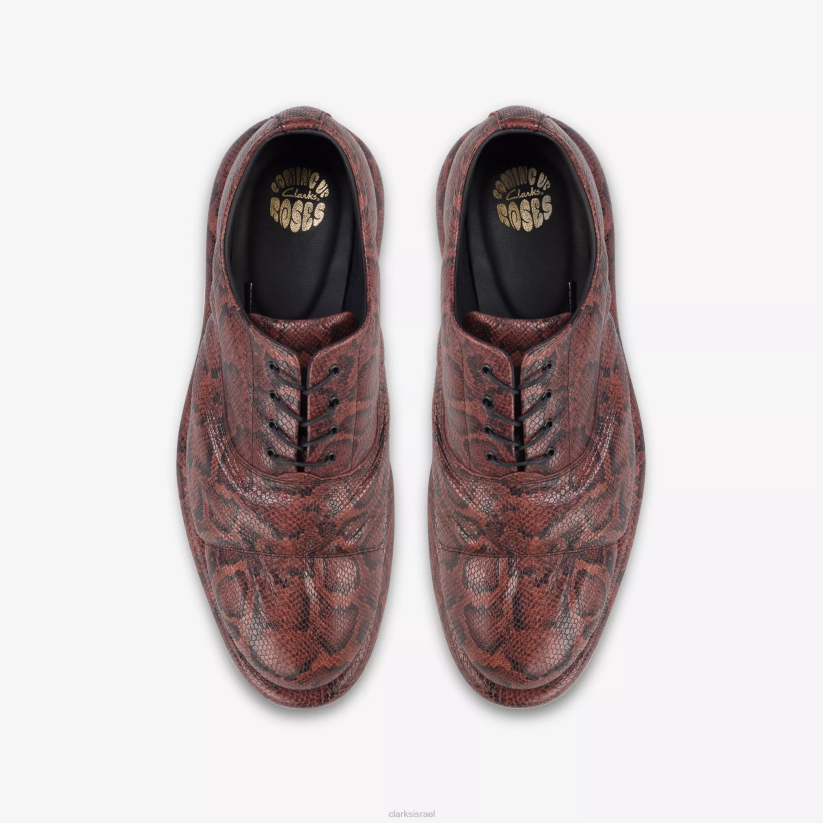V268241 נחש חום Clarks מרטין רוז נשים אוקספורד 1