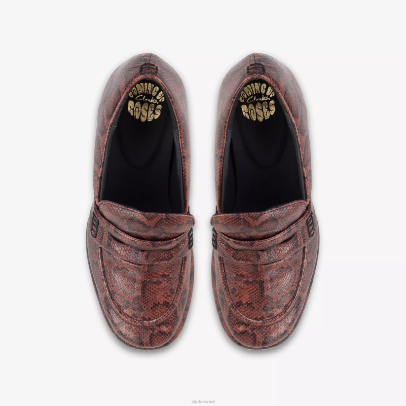 V268245 נחש חום Clarks מרטין רוז לנשים 1